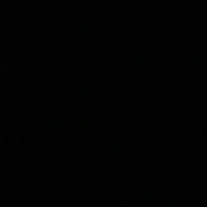 Meet your Posher, Ida